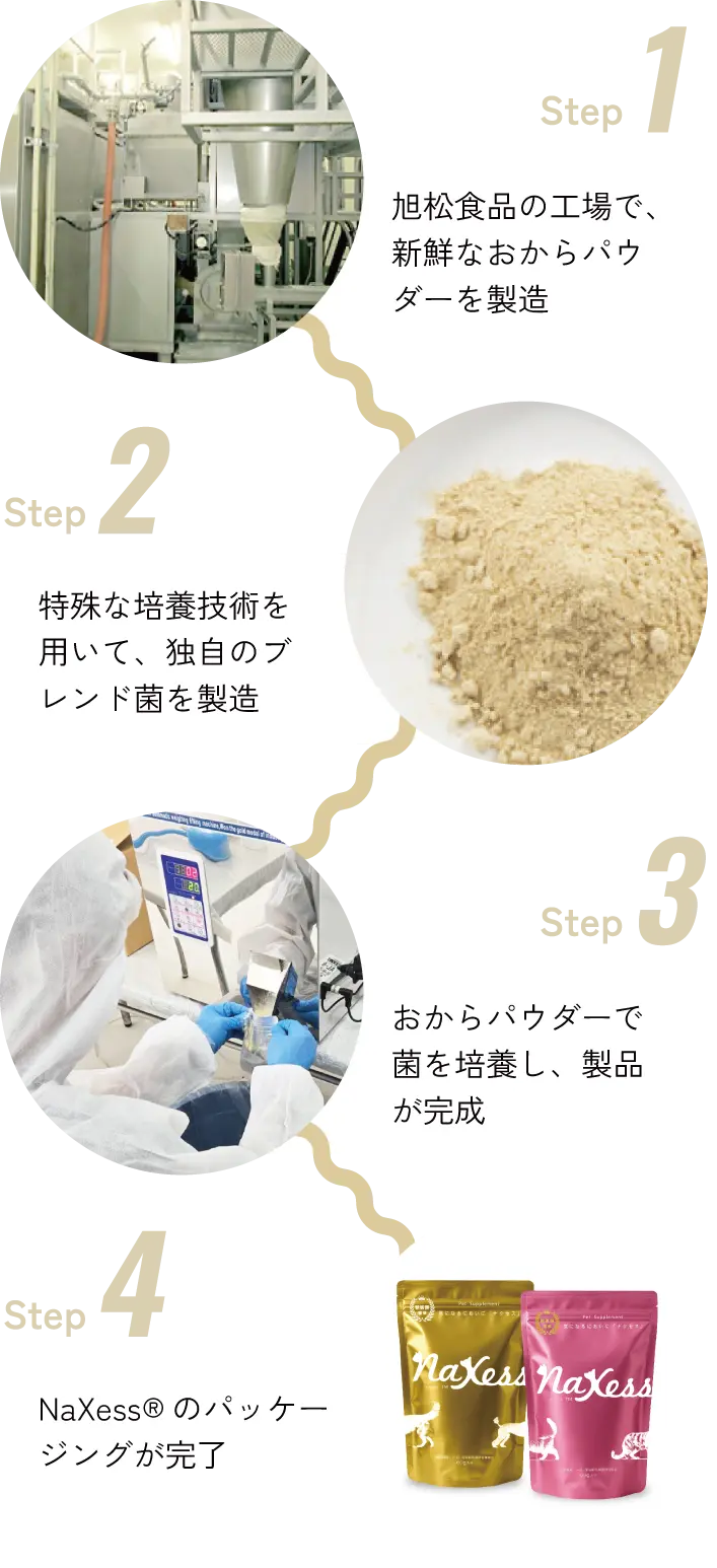 NaXess®が完成するまで